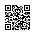 13103-ML7-306 Piston (os) (0.50)