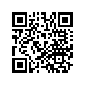 13103-MM5-305 Piston (os 0.50)