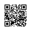 13103-MW4-305 Piston (os) (0.50)