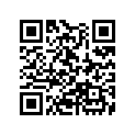 13103-MZ1-305 Piston (os) (0.50)