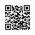 13103-ZE2-W01 PISTON(0.50)