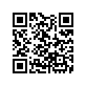 13103-ZE7-010 PISTON(OS)(0.50)