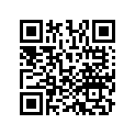 13103-ZF6-W01 PISTON(0.50)