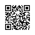 13103-ZH8-000 SSBY-11-13103-ZH8-010-PISTON(0.50)
