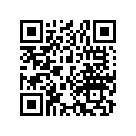 13104-001-040 PISTON (OS) (0.75)