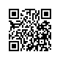 13104-002-000 Piston (os) (0.75)