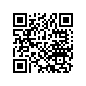 13104-028-314 Piston (os) (0.75)