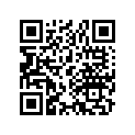 13104-116-010 Piston,0.75