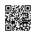 13104-147-000 Piston (os) (0.75)