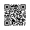13104-152-000 Piston (os) (0.75)
