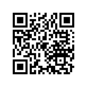 13104-176-000 Piston (os) (0.75)