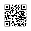 13104-177-000 Piston (os) (0.75)