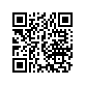 13104-217-000 Piston (os) (0.75)