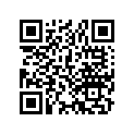 13104-259-010 PISTON (OS) (0.75)