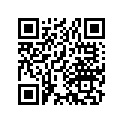 13104-330-000 Piston
