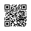 13104-360-810 Piston (os) (0.75)