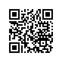 13104-364-780 Piston (os) (0.75)