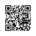 13104-381-000 Piston (os) (0.75)