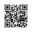 13104-383-010 Piston (0.75)