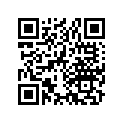 13104-384-000 Piston (os) (0.75)