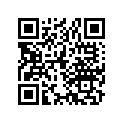 13104-393-000 Piston (0.75)