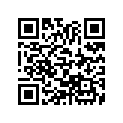 13104-422-003 Piston (os) (0.75)