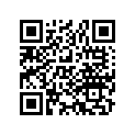 13104-447-671 Piston (0.75)