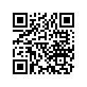 13104-889-010 PISTON(0.75)
