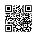 13104-961-003 Piston (0.75)