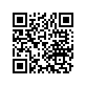 13104-964-820 Piston (0.75)