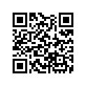 13104-HA2-772 PISTON (OVER SIZE) (0.50)