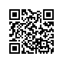 13104-HM8-000 Piston (os 0.75)