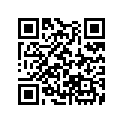 13104-KK9-305 Piston (os) (0.75)