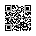 13104-MG5-670 Piston (os) (0.75)