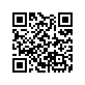 13104-MJ0-000 Piston(0.75)