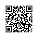 13104-MN0-305 Piston (os) (0.75)