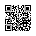 13104-Z7E-800 PISTON(0.75)
