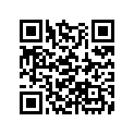 13104-ZE2-W01 PISTON(0.75)