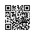 13104-ZG5-D60 PISTON(OS)(0.25)