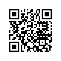 13105-028-314 Piston (1.00)