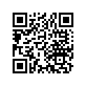 13105-030-000 Piston (1.00)