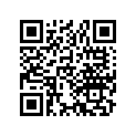 13105-087-000 Piston