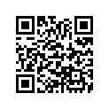 13105-176-000 Piston (1.00)