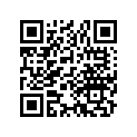 13105-205-040 Piston, r. (1.00)