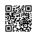 13105-206-000 Piston (1.00)