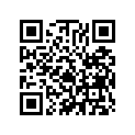 13105-206-010 Piston (1.00)