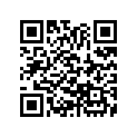 13105-217-000 Piston (1.00)