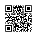 13105-268-010 Piston