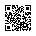 13105-275-020 Piston (1.00)