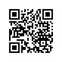 13105-312-000 Piston (1.00)